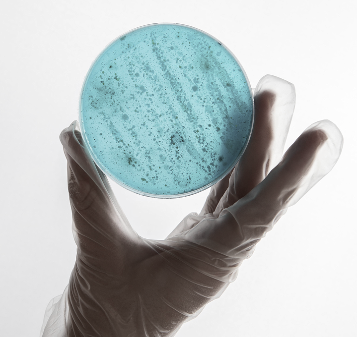 What You Put On Your Skin Matters
